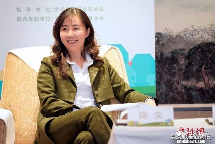 荷兰皇家菲仕兰乳业有限公司,荷兰皇家菲仕兰坎皮纳