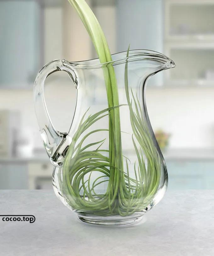 杂谈广告语,广告语的风格