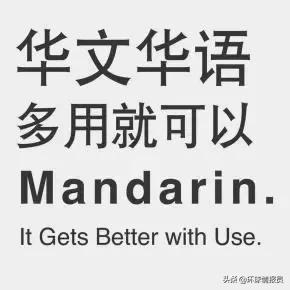 马来西亚国际汉语教育,马来西亚本土教育