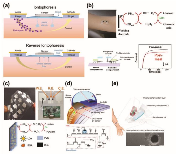 多传感器健康监测系统设计,健康监测系统技术