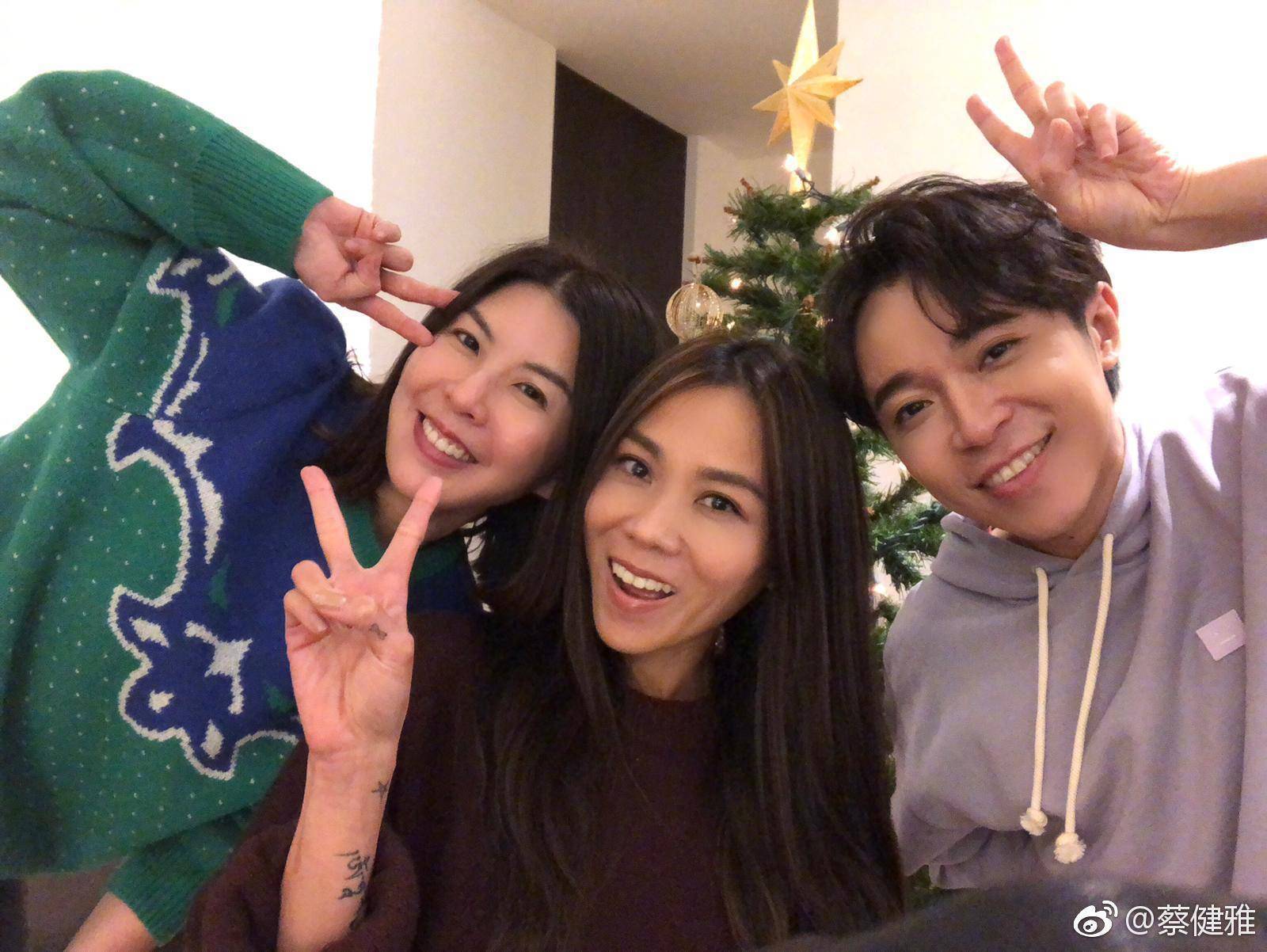 盘点蔡健雅抄袭的歌曲,蔡健雅去年新歌