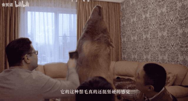 不要因为片名烂而错过的神片,找到一部良心好片豆瓣高达8.1分