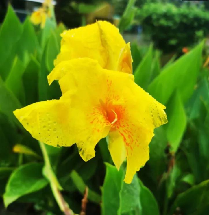 甲癌术后10年与病友分享,甲友心声最新消息