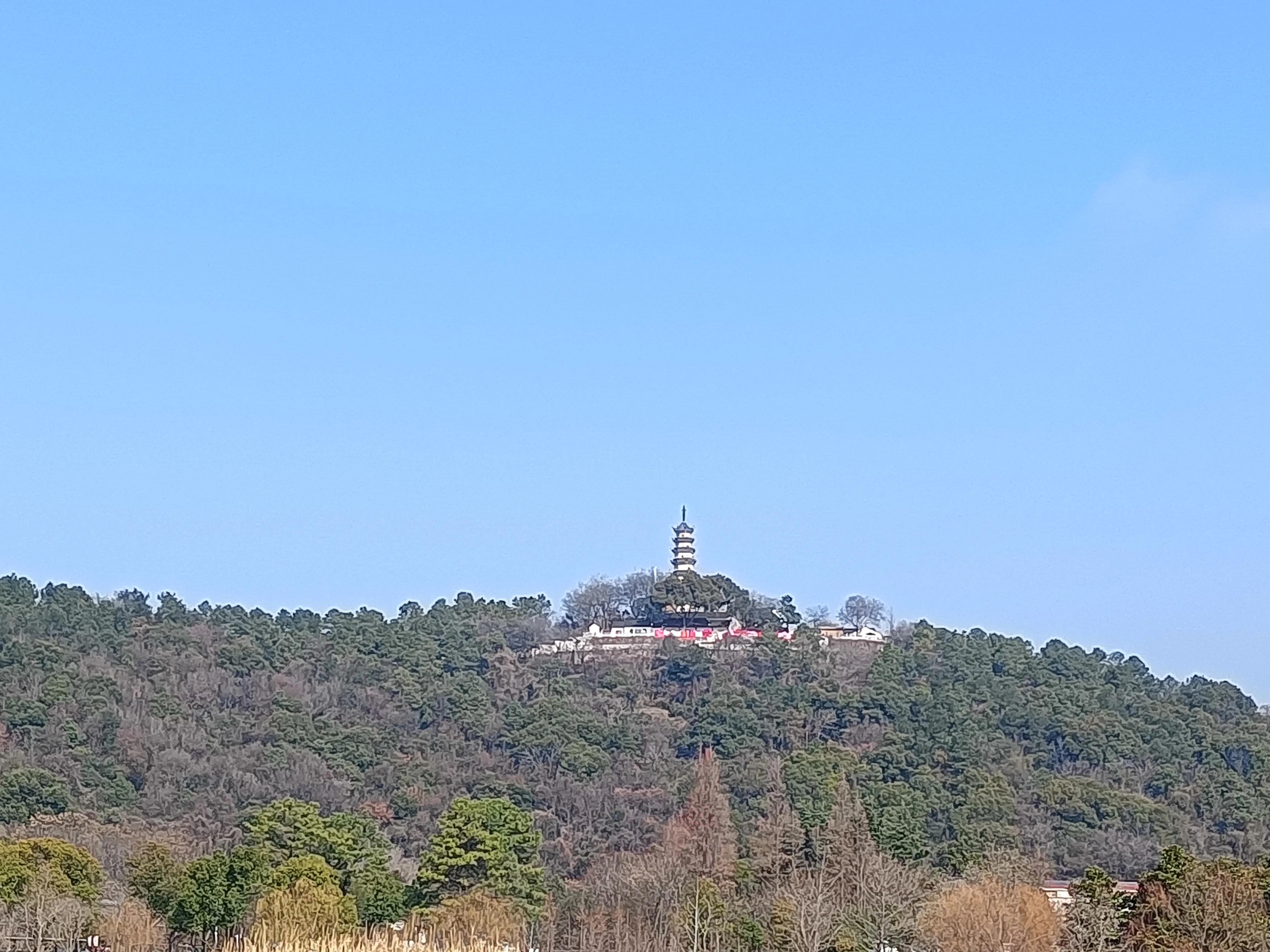 上方山森林公园作文,上方山森林公园动物世界