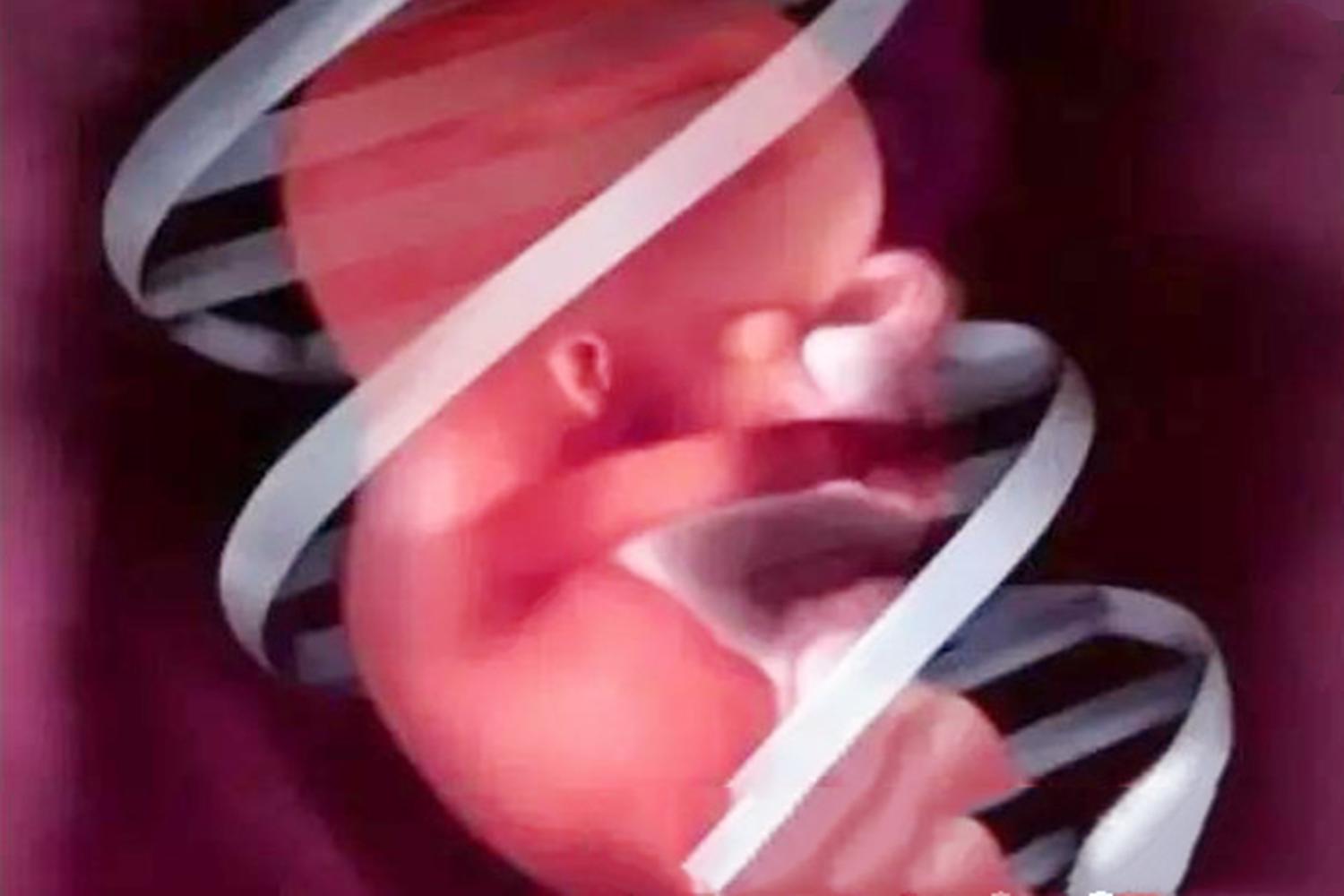 这三个时间段胎儿过于“活跃”，是在对孕妈表示“抗议”，别忽视