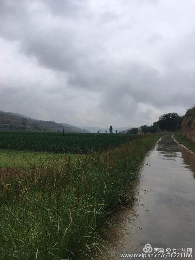 大美汨罗我的家,大美宝丰我的家