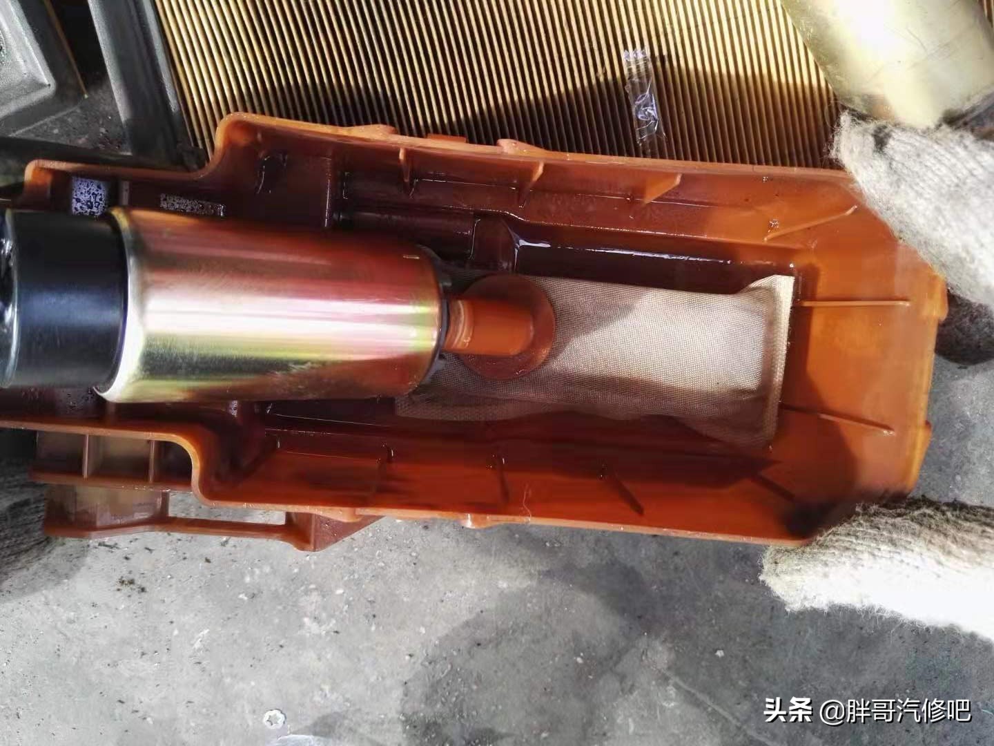 19年蓝鸟难启动很抖,2004年老蓝鸟