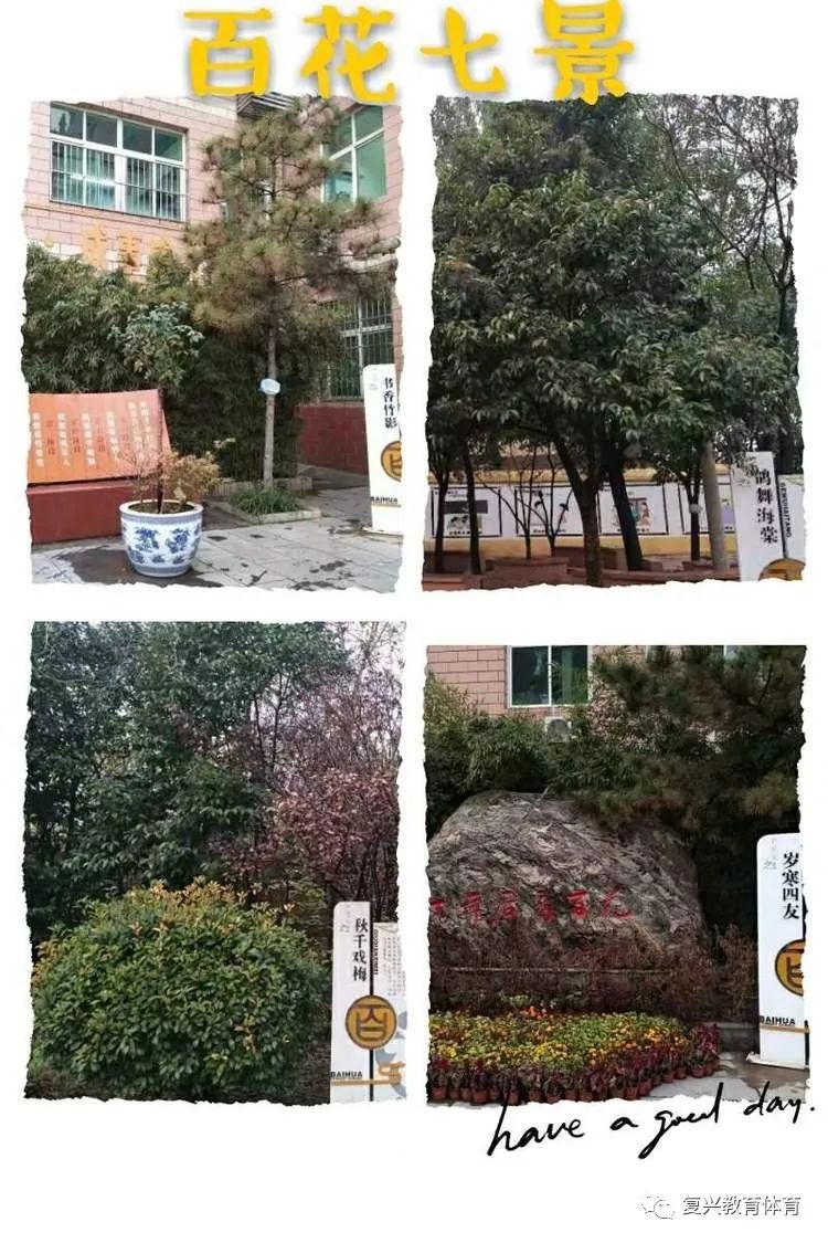 复兴百花幼儿园,邯郸复兴区所有教育机构