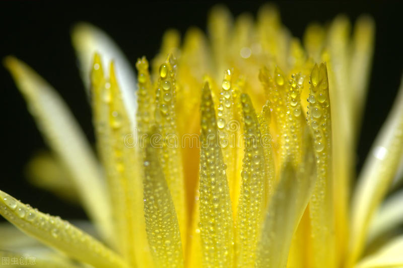 花的种子方敬,方敬《花的种子》教学设计