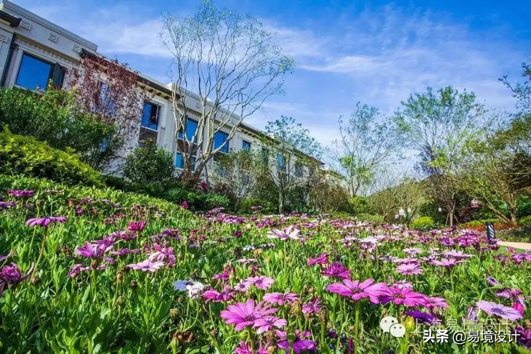 湖南望城区龙湖璟宸原著,长沙龙湖璟宸原著最新消息