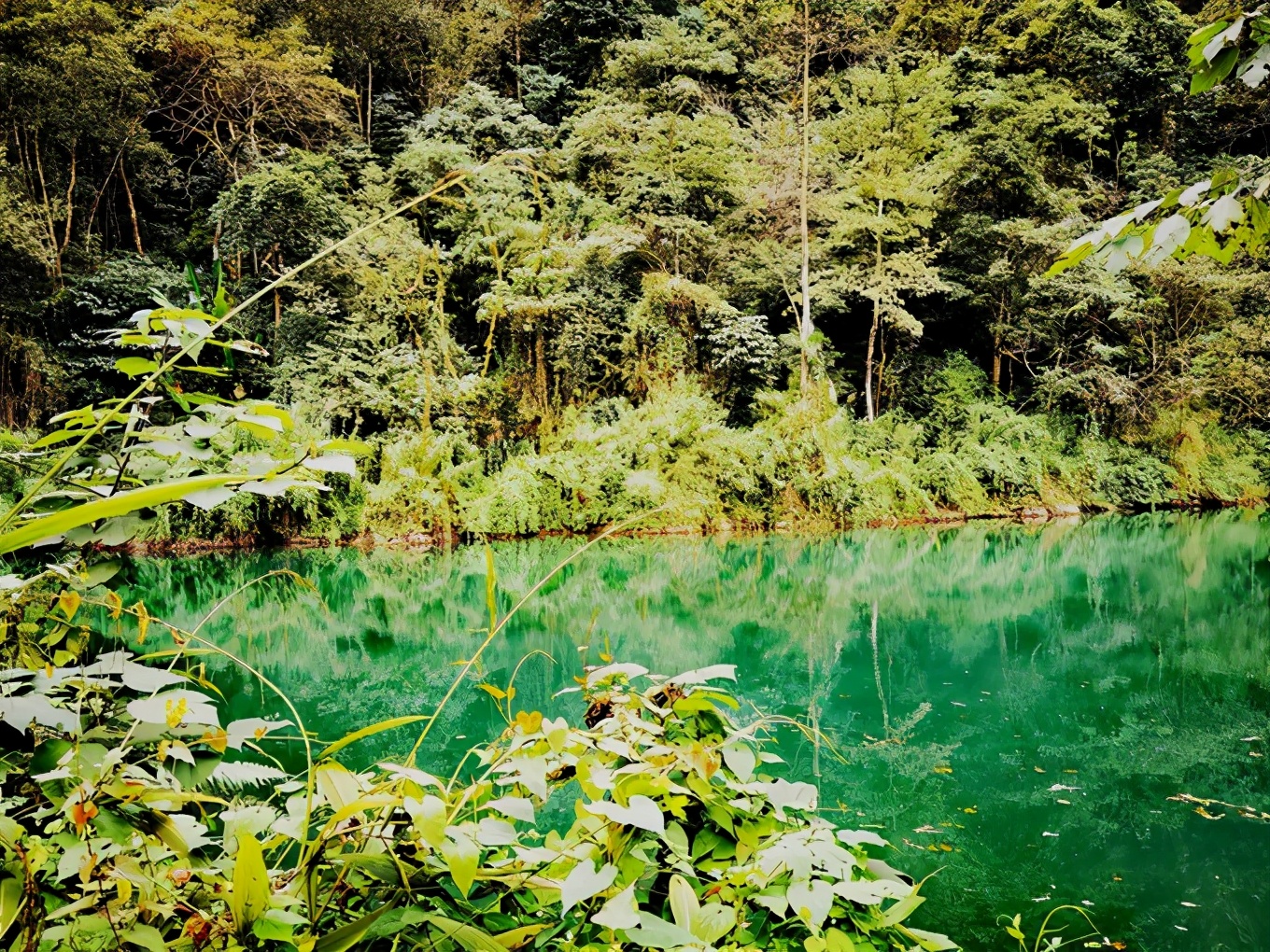 深秋峨眉风光好——「清音阁/金顶/红珠山温泉」三日行