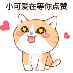 狗狗没食欲、日渐消瘦？猫咪没精神？是什么原因导致的？