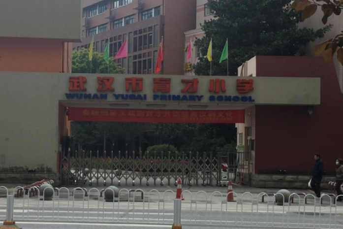 武汉三大黑马小学,武汉三大最好的小学