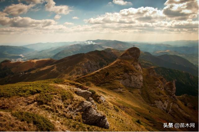 鑻楁湪宸ョ▼杩樻湁缁х画鍙戝睍鐨勫彲鑳藉悧,鍥藉瀵硅嫍鏈ㄥ彂灞曟湁鍝簺瑙勫垝
