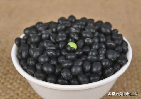 黑豆正确的营养价值和功效,黑豆营养价值特点及功效
