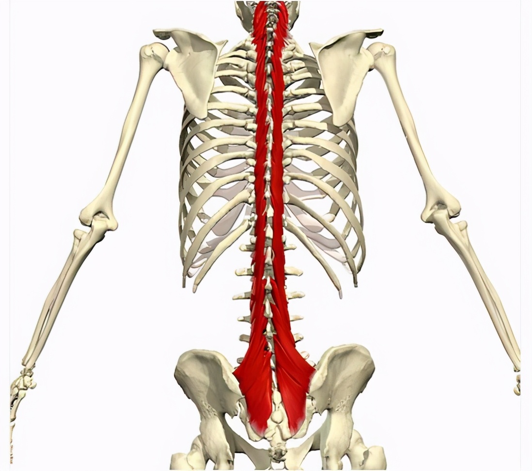 腰背部僵硬做什么运动,腰突恢复期感觉背部肌肉紧绷僵硬