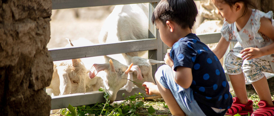 3岁孩子身上类似鸡皮疙瘩痒,三岁女儿晚上睡觉全身痒