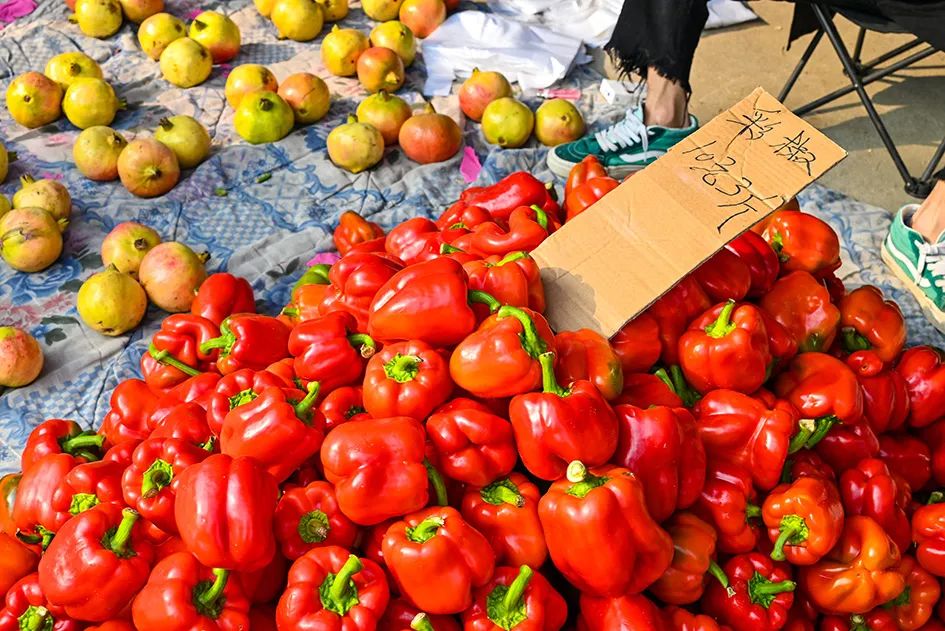 满满的烟火气逛大集真好玩,最值得逛的大集