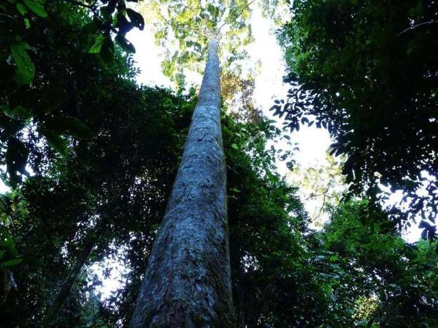 避暑胜地西双版纳亲子游,西双版纳旅游必去景点推荐野象谷