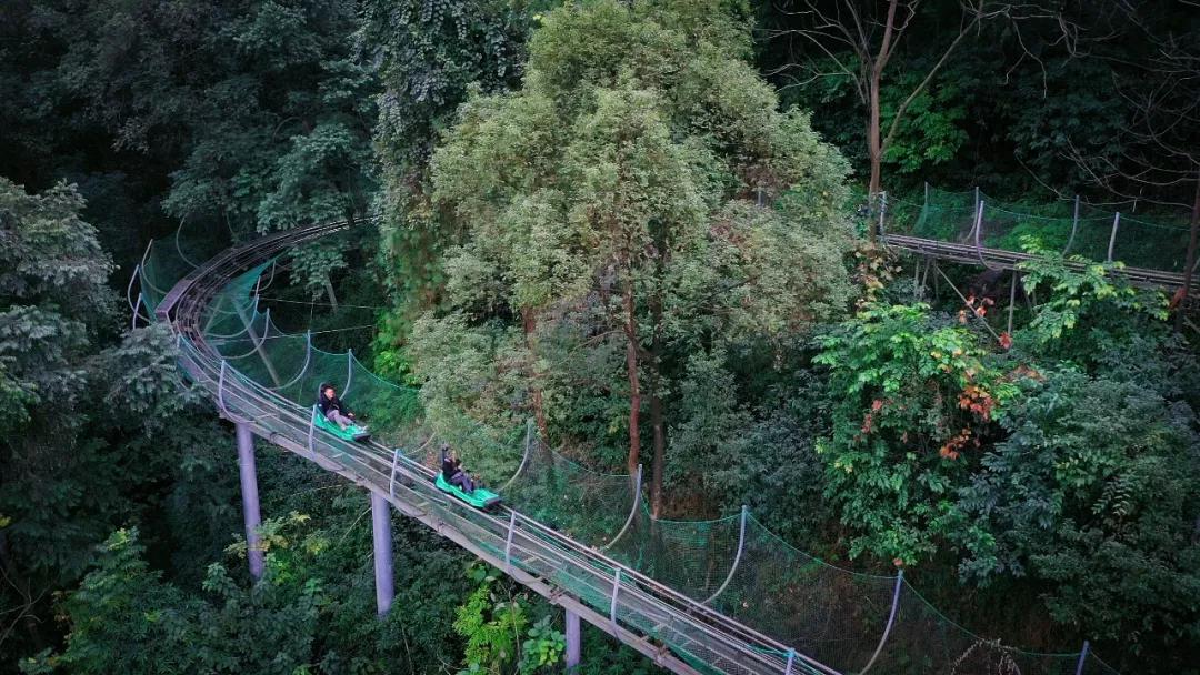 巴南又能耍又有吃的,重庆有什么美食巴南区