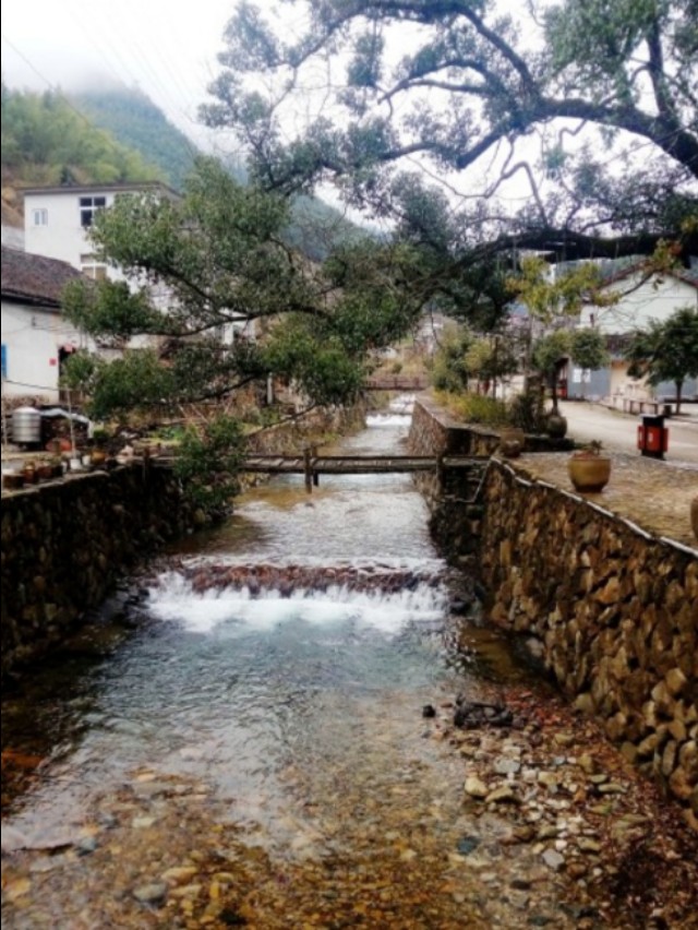 浙江传统村落:松阳李坑村,被美誉为生态旅游,绿色氧吧的村落