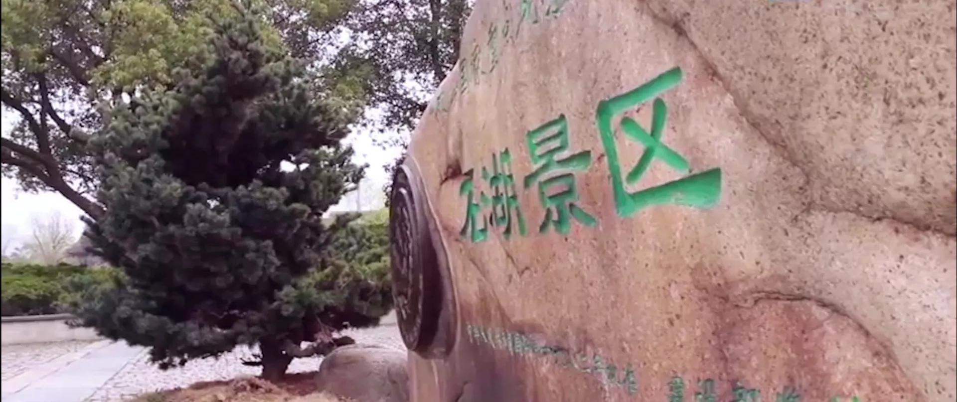 苏州天然氧吧的乡村有哪些,城市绿肺天然氧吧苏州东园