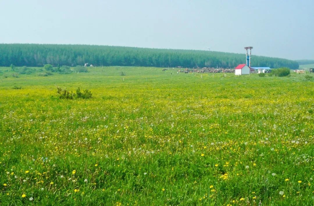 北京避暑,北京值得一去的皇家园林