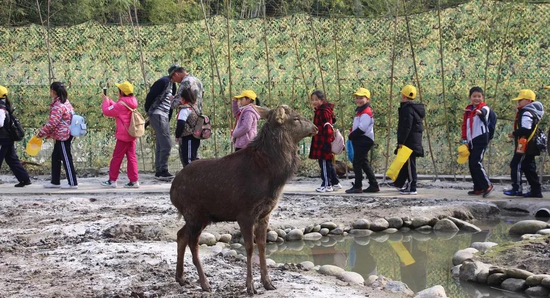 石泉古镇一日游攻略,秦巴水乡石泉十美景区
