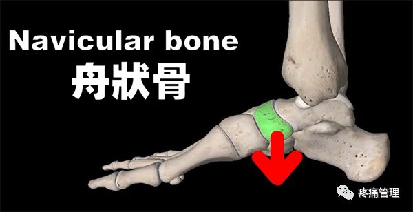 专门改善扁平足的运动,站着改善小腿外翻