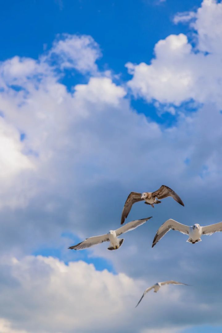 大连旅游最美大海,大连最美海滨风景