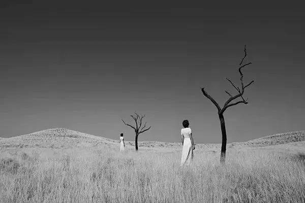 好物推荐香薰精油你了解多少?