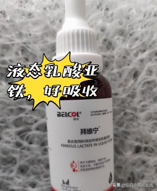 猫咪粉色鼻头发白是怎么回事,猫咪的鼻头非常的红怎么回事