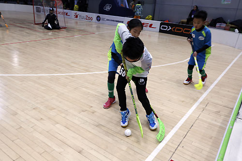 全国软式曲棍球锦标赛,青少年软式曲棍球锦标赛