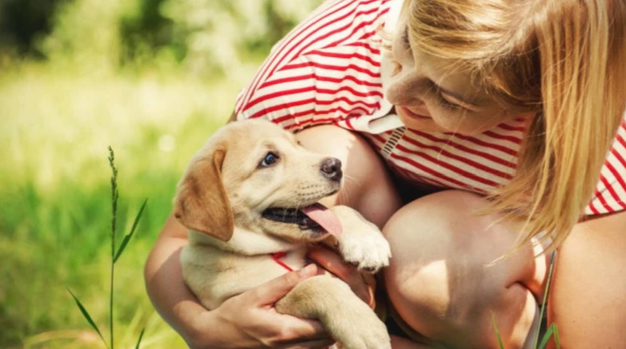 四大血液病,四种贫血的诊断依据