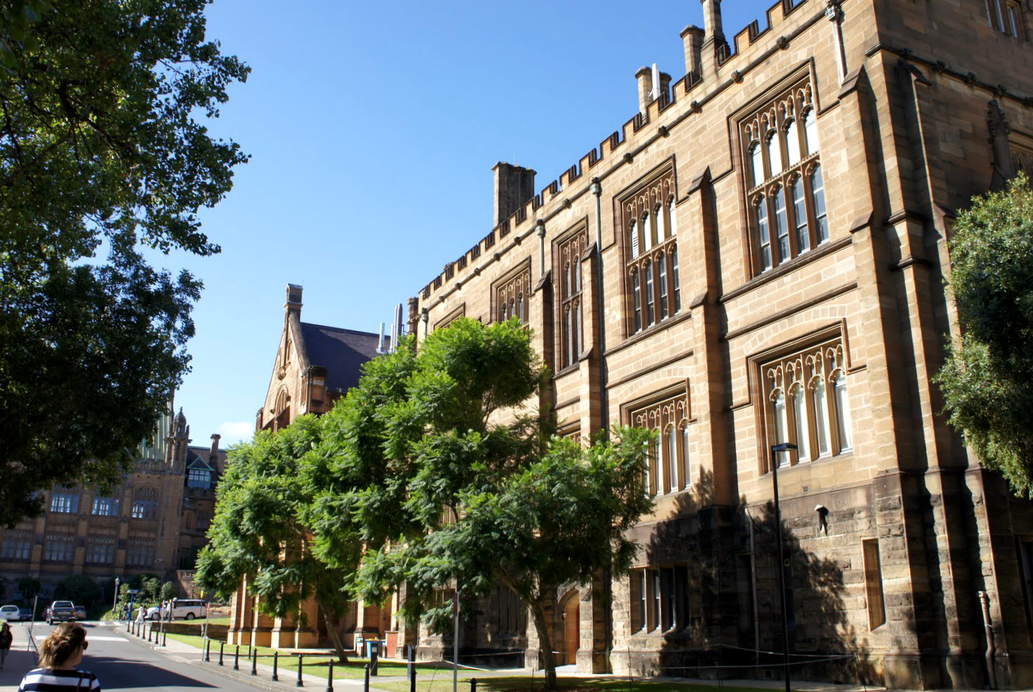 奔富葡萄酒好喝吗,奔富属于哪类葡萄酒