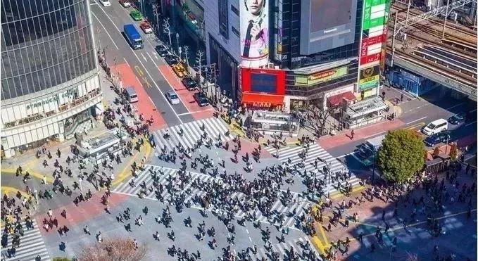 东京23区域的特点,东京23区居住体验对比