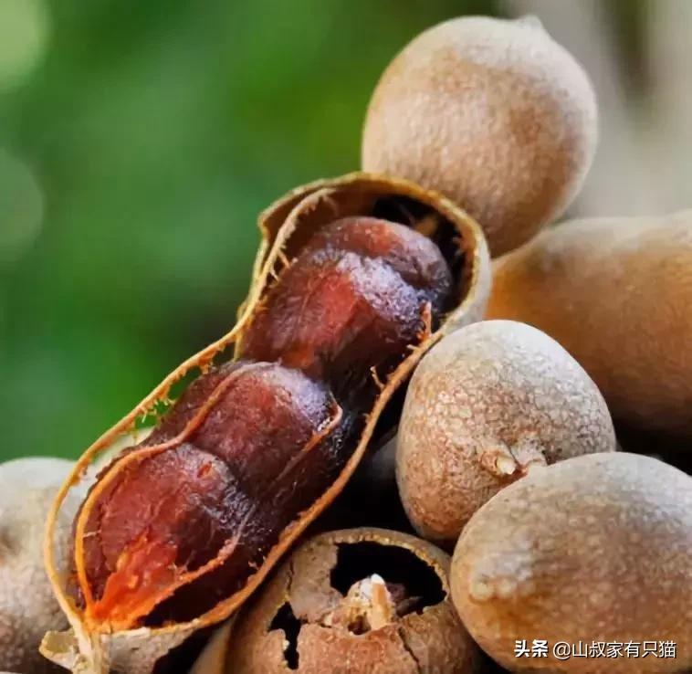 吃完“舌头受伤”的5种水果，甘蔗像牙签扎，图4居然会破皮流血