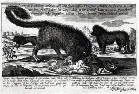 不可思议的神秘动物,不可思议的动物