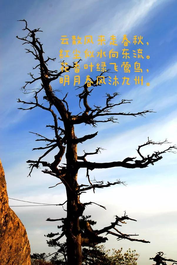 七言诗岁月沧桑,形容岁月的七言古诗