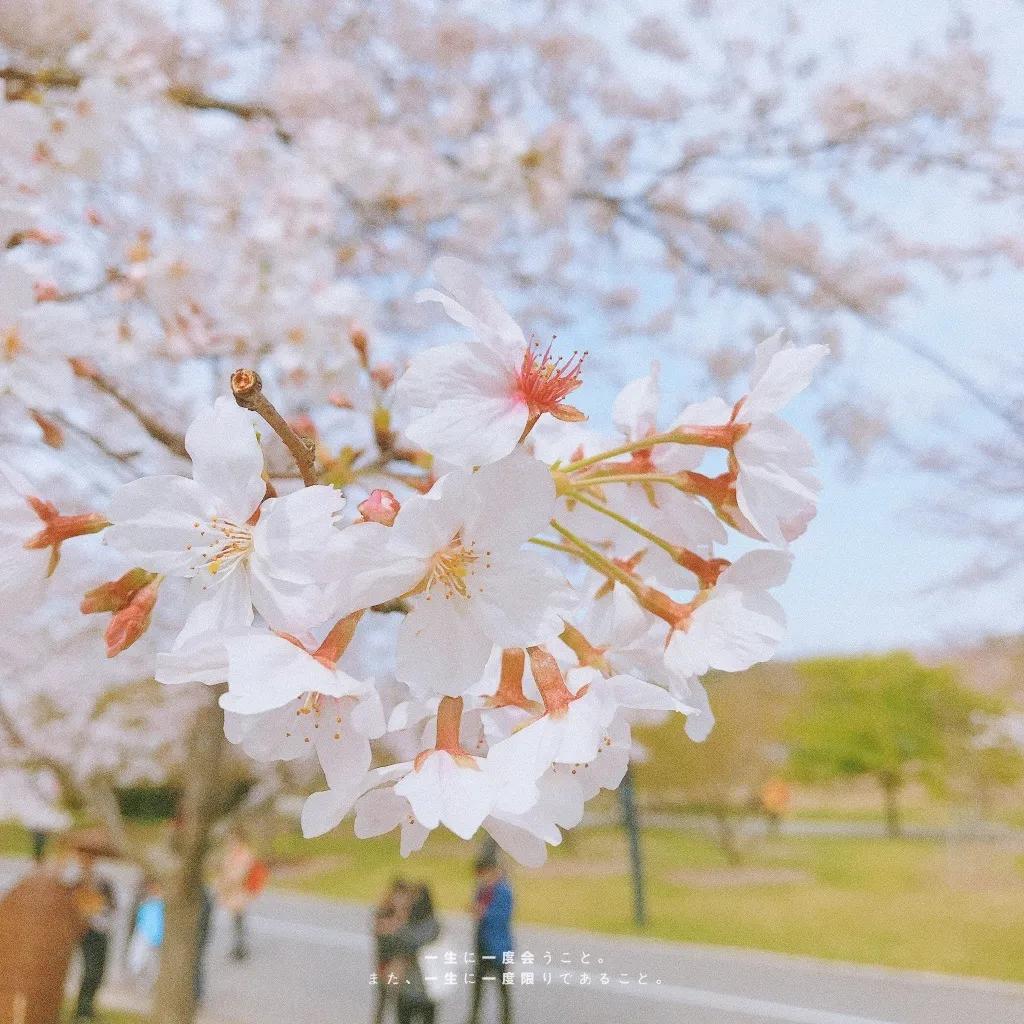 辟谣、吃酱油加深痘印？芦荟胶治好痘坑？别傻了！