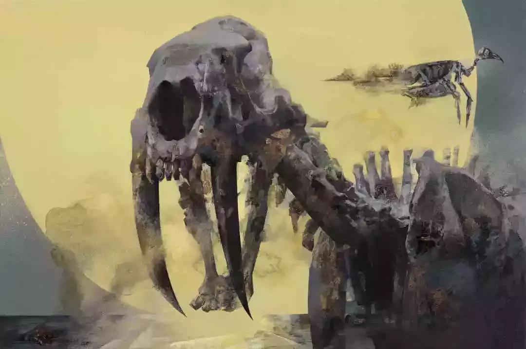 2019毕业季获奖作品,毕业季大奖