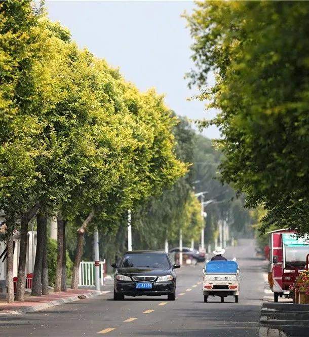 盘锦新发地乡博会,盘锦国际博览会
