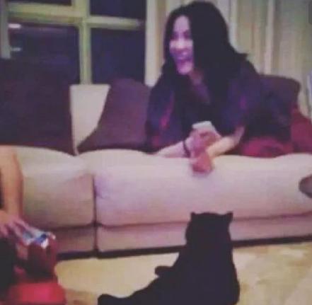 谢霆锋王菲最新消息状况,谢霆锋王菲近期最新消息状况