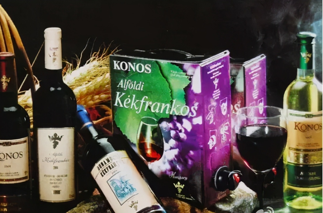 匈牙利人的生活视频,匈牙利人生活的真实状况