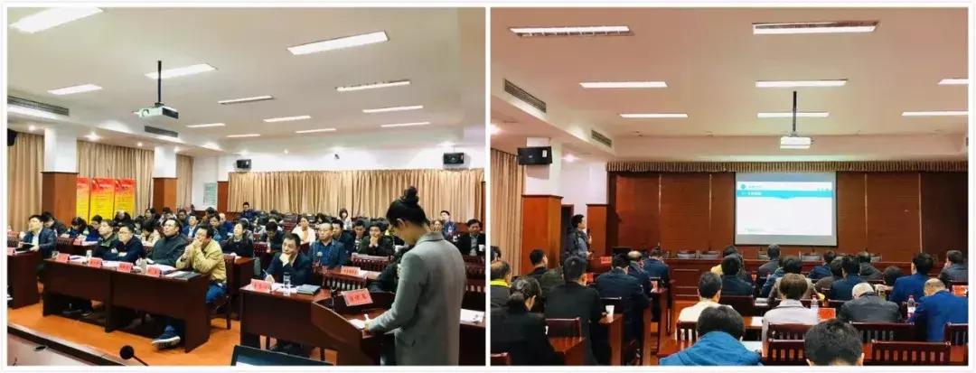 首创！什么是最满意工作？半山社工履职评价等你投票来决定