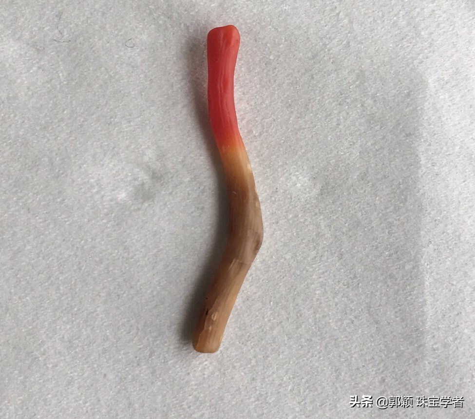 红珊瑚会褪色吗是真的吗,红珊瑚褪色的样子