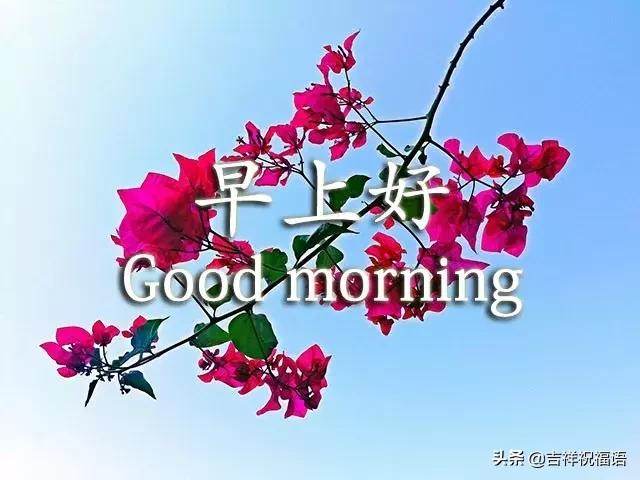 早上好祝福语正能量励志的话,早上好简单好看的早安祝福语