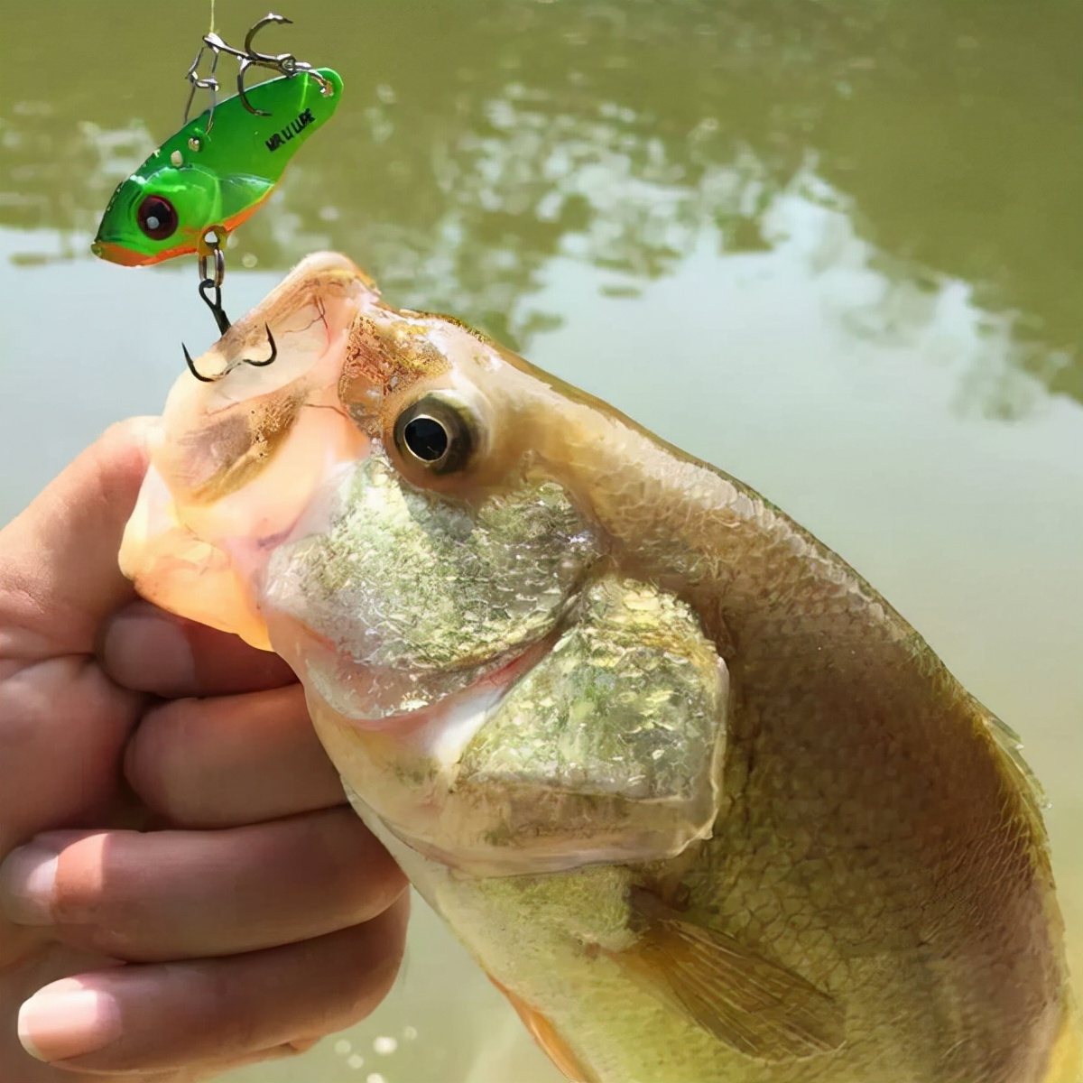 路亚VIB使用方法,路亚vib在何种情况下使用