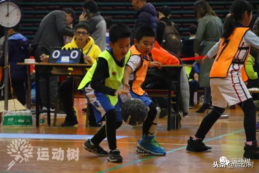 中国篮球名宿走进学校,中国篮球名宿26分