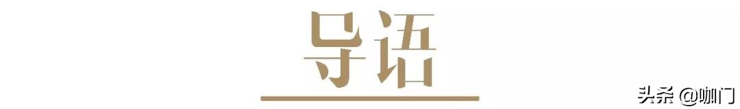 新茶饮品牌靠什么,新茶饮网红奶茶